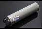 Silencer, Stainless, Oval/Carbon End Cap, 35mm., CNC/Spring Mount, No Fittings