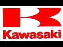TYGA Carbon for Kawasaki