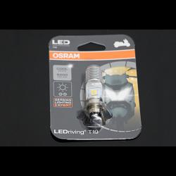 Headlight Bulb, LEDriving, T19,12V5/6W 1